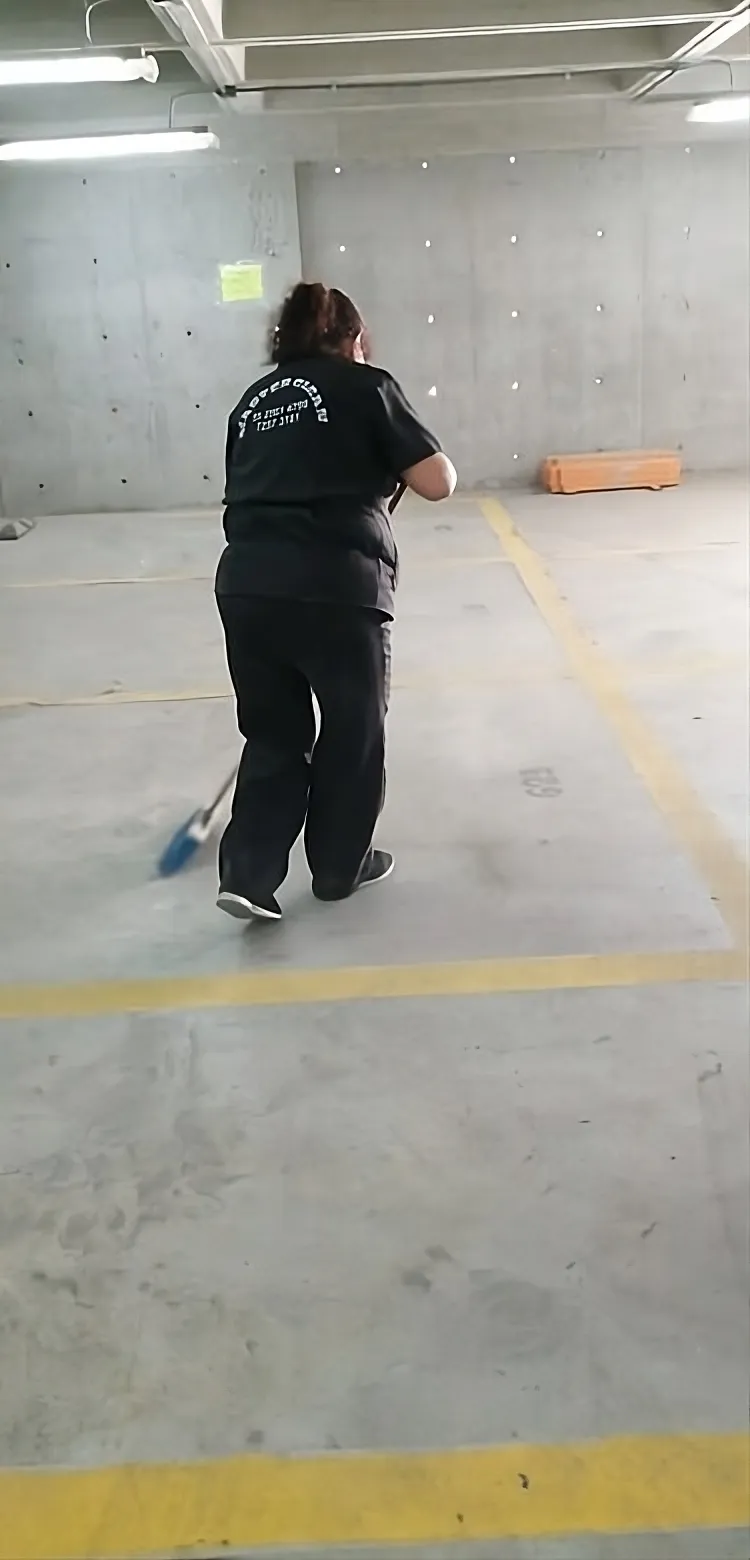 Master Clean